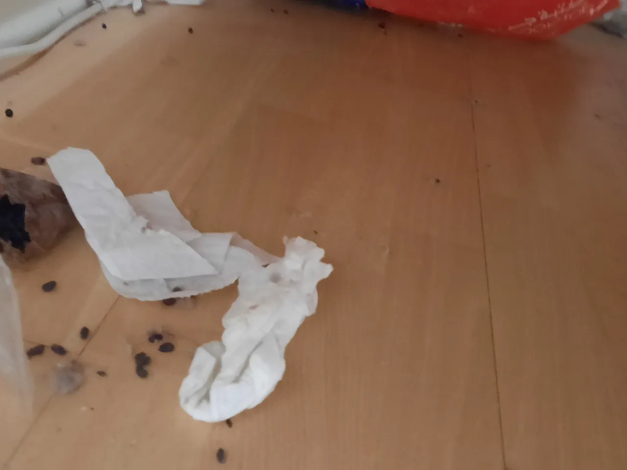 Review photo